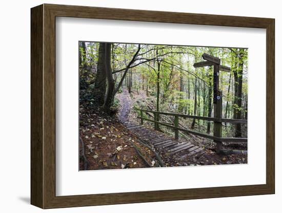 Footpath Sign at Milners Fork in Nidd Gorge Woods Near Bilton-Mark Sunderland-Framed Photographic Print