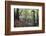 Footpath Sign at Milners Fork in Nidd Gorge Woods Near Bilton-Mark Sunderland-Framed Photographic Print