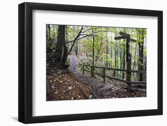 Footpath Sign at Milners Fork in Nidd Gorge Woods Near Bilton-Mark Sunderland-Framed Photographic Print