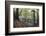 Footpath Sign at Milners Fork in Nidd Gorge Woods Near Bilton-Mark Sunderland-Framed Photographic Print