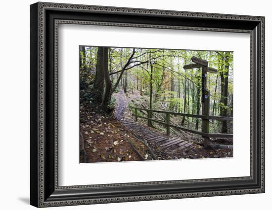 Footpath Sign at Milners Fork in Nidd Gorge Woods Near Bilton-Mark Sunderland-Framed Photographic Print