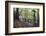 Footpath Sign at Milners Fork in Nidd Gorge Woods Near Bilton-Mark Sunderland-Framed Photographic Print