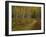 Footpath Through Autumn Aspen Trees, San Isabel National Forest, Colorado, USA-Adam Jones-Framed Photographic Print