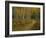 Footpath Through Autumn Aspen Trees, San Isabel National Forest, Colorado, USA-Adam Jones-Framed Photographic Print