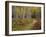 Footpath Through Autumn Aspen Trees, San Isabel National Forest, Colorado, Usa-Adam Jones-Framed Photographic Print