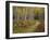 Footpath Through Autumn Aspen Trees, San Isabel National Forest, Colorado, Usa-Adam Jones-Framed Photographic Print