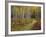 Footpath Through Autumn Aspen Trees, San Isabel National Forest, Colorado, Usa-Adam Jones-Framed Photographic Print