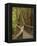 Footpath Through Forest To Newdegate Cave, Hastings Caves State Reserve, Tasmania, Australia-David Wall-Framed Premier Image Canvas