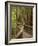 Footpath Through Forest To Newdegate Cave, Hastings Caves State Reserve, Tasmania, Australia-David Wall-Framed Photographic Print