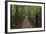 Footpath Through Waipoua Kauri Forest, Northland Region, North Island, New Zealand, Pacific-Matthew Williams-Ellis-Framed Photographic Print