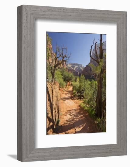 Footpath, Virgin River Valley, Zion National Park, Utah, Usa-Rainer Mirau-Framed Photographic Print