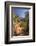 Footpath, Virgin River Valley, Zion National Park, Utah, Usa-Rainer Mirau-Framed Photographic Print