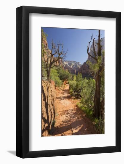 Footpath, Virgin River Valley, Zion National Park, Utah, Usa-Rainer Mirau-Framed Photographic Print
