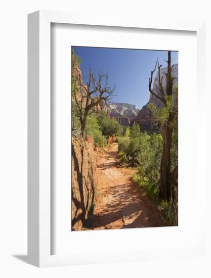 Footpath, Virgin River Valley, Zion National Park, Utah, Usa-Rainer Mirau-Framed Photographic Print