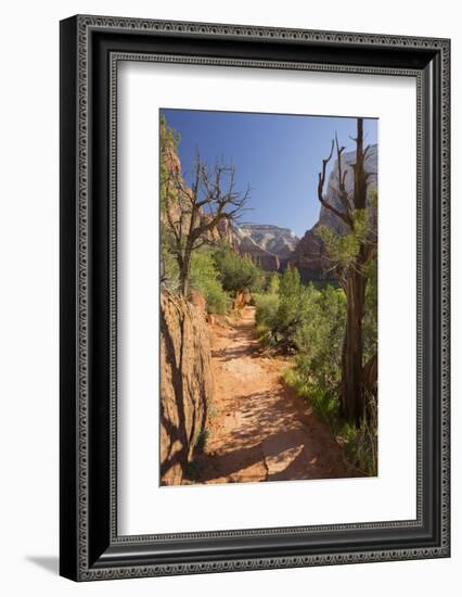 Footpath, Virgin River Valley, Zion National Park, Utah, Usa-Rainer Mirau-Framed Photographic Print