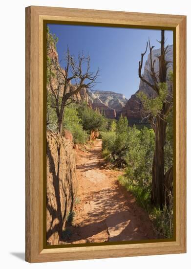 Footpath, Virgin River Valley, Zion National Park, Utah, Usa-Rainer Mirau-Framed Premier Image Canvas