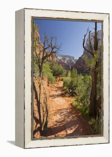 Footpath, Virgin River Valley, Zion National Park, Utah, Usa-Rainer Mirau-Framed Premier Image Canvas