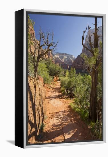 Footpath, Virgin River Valley, Zion National Park, Utah, Usa-Rainer Mirau-Framed Premier Image Canvas