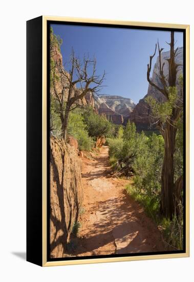 Footpath, Virgin River Valley, Zion National Park, Utah, Usa-Rainer Mirau-Framed Premier Image Canvas