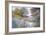 Footpath-Barbara Newton-Framed Giclee Print