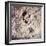 Footprint Left by Astronaut on Lunar Soil During Apollo 11 Lunar Mission in Walk on Moon's Surface-null-Framed Photographic Print