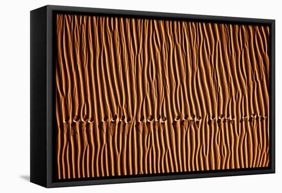 Footprint3-Mohammadreza Momeni-Framed Premier Image Canvas