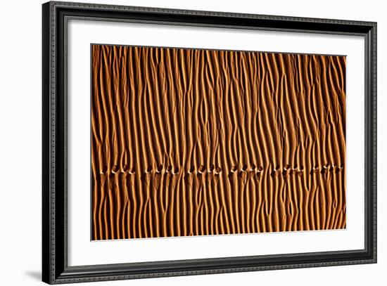 Footprint3-Mohammadreza Momeni-Framed Photographic Print