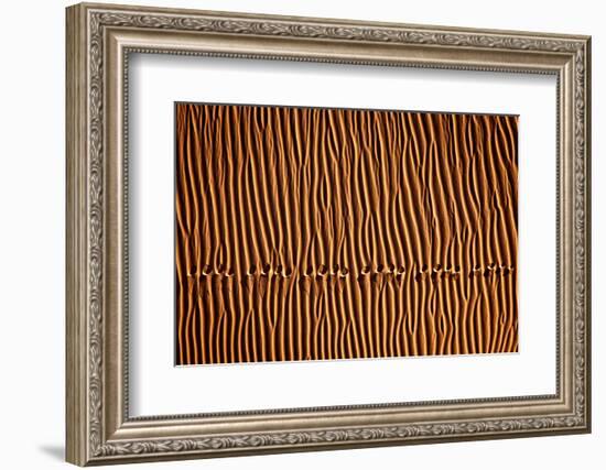 Footprint3-Mohammadreza Momeni-Framed Photographic Print