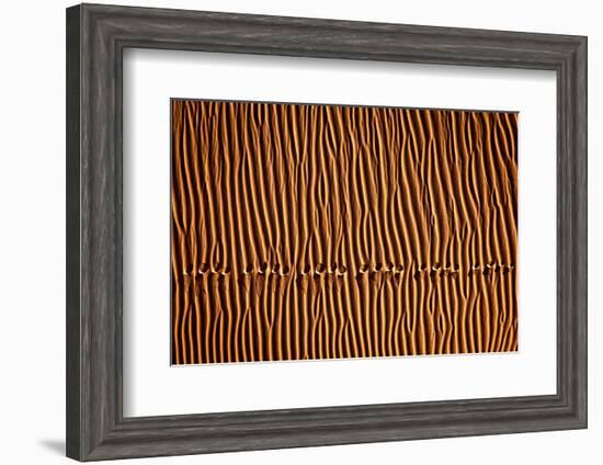 Footprint3-Mohammadreza Momeni-Framed Photographic Print