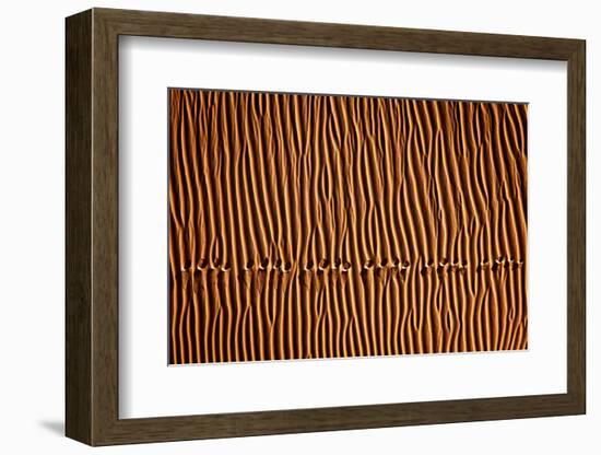 Footprint3-Mohammadreza Momeni-Framed Photographic Print