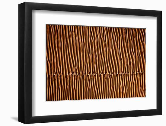 Footprint3-Mohammadreza Momeni-Framed Photographic Print