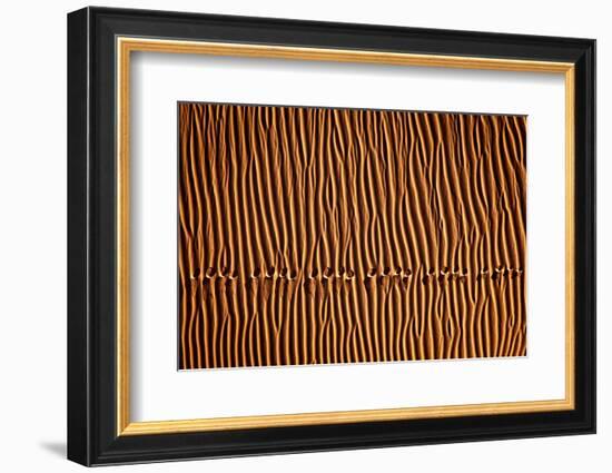 Footprint3-Mohammadreza Momeni-Framed Photographic Print