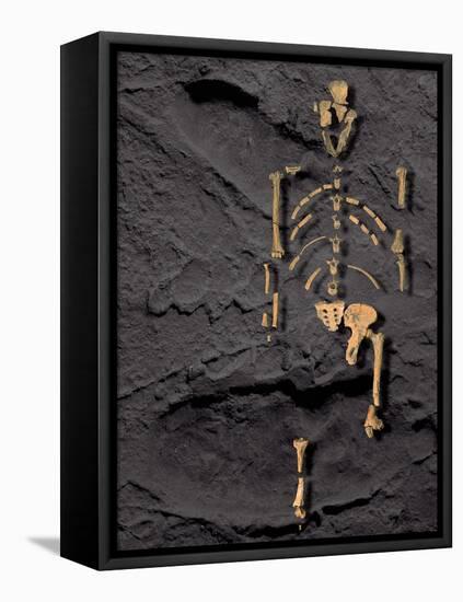 Footprints And Skeleton of Lucy-Javier Trueba-Framed Premier Image Canvas