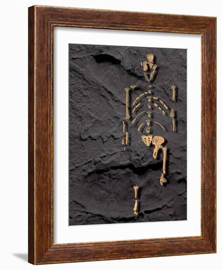 Footprints And Skeleton of Lucy-Javier Trueba-Framed Photographic Print