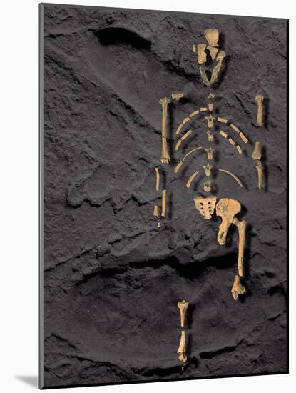 Footprints And Skeleton of Lucy-Javier Trueba-Mounted Photographic Print