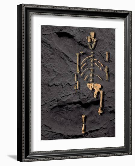 Footprints And Skeleton of Lucy-Javier Trueba-Framed Photographic Print