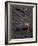 Footprints And Skeleton of Lucy-Javier Trueba-Framed Photographic Print