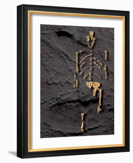 Footprints And Skeleton of Lucy-Javier Trueba-Framed Photographic Print