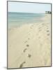 Footprints in Sand at Grace Bay Beach, Providenciales, Turks and Caicos Islands, West Indies-Kim Walker-Mounted Photographic Print
