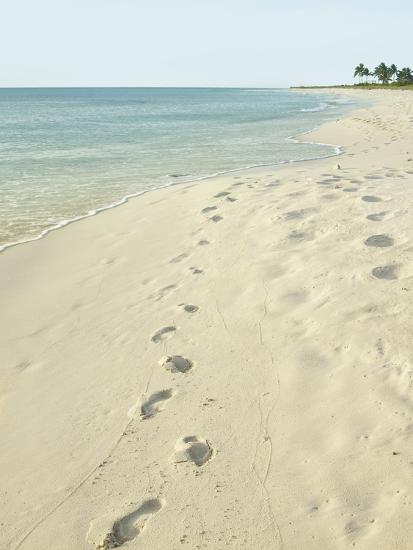 Footprints In Sand At Grace Bay Beach Providenciales Turks And Footprints In Sand At Grace Bay Beach Providenciales Turks And Caicos Islands West Ins Photographic Print By Kim Walker Art