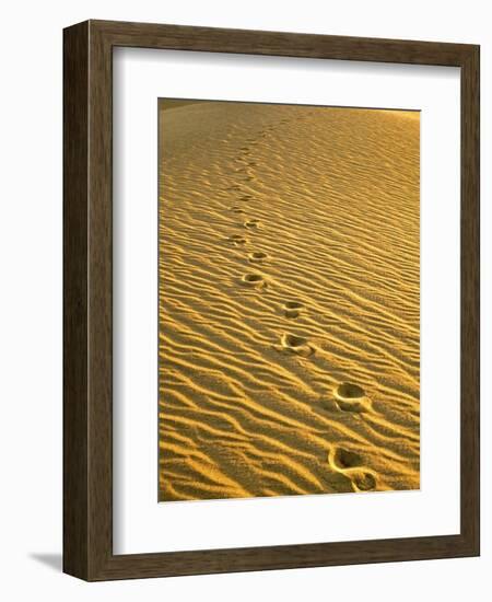 Footprints in Sand Dunes-Owaki - Kulla-Framed Photographic Print