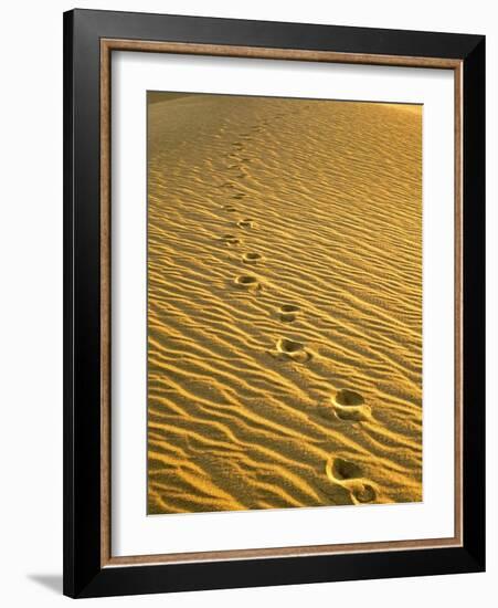 Footprints in Sand Dunes-Owaki - Kulla-Framed Photographic Print