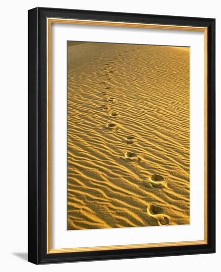 Footprints in Sand Dunes-Owaki - Kulla-Framed Photographic Print