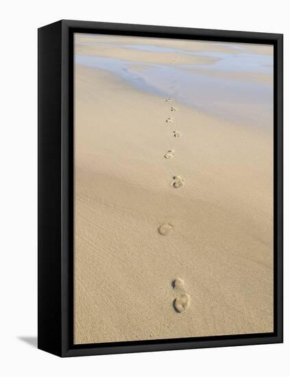 Footprints In Sand-Adrian Bicker-Framed Premier Image Canvas