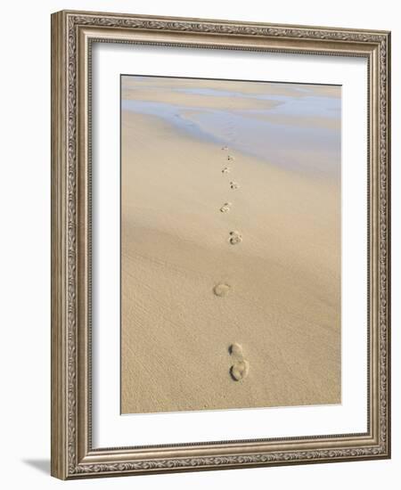 Footprints In Sand-Adrian Bicker-Framed Photographic Print