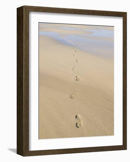 Footprints In Sand-Adrian Bicker-Framed Photographic Print