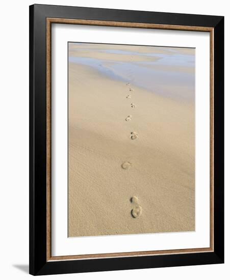 Footprints In Sand-Adrian Bicker-Framed Photographic Print