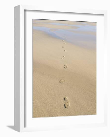Footprints In Sand-Adrian Bicker-Framed Photographic Print