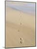 Footprints In Sand-Adrian Bicker-Mounted Photographic Print