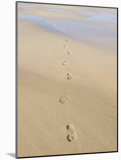 Footprints In Sand-Adrian Bicker-Mounted Photographic Print